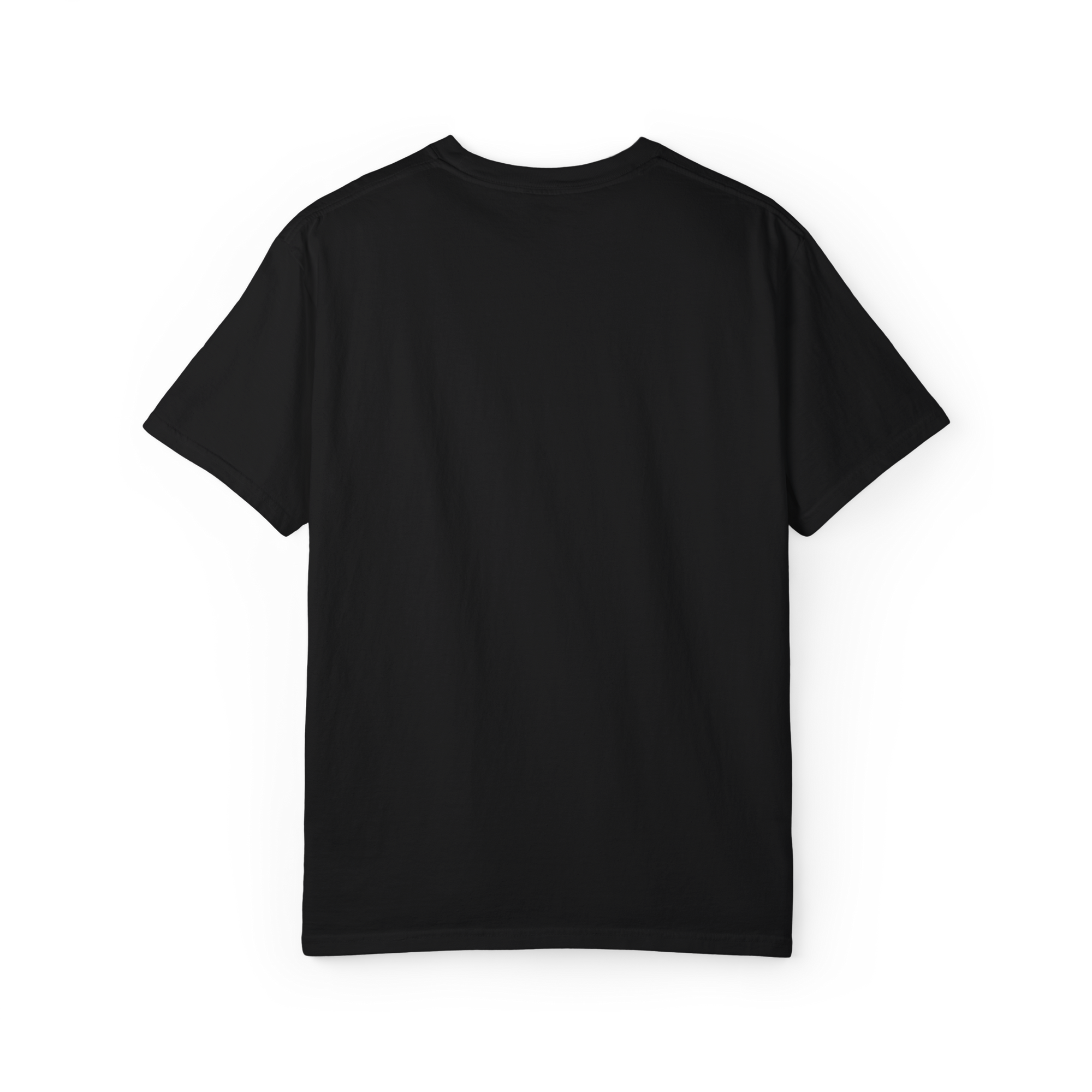 Our Speedways Classic Tee